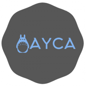 BLOG AYCA